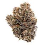 Berkel - Bulk Regular - Indica 1g