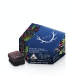 Elderberry 2:1 CBN + Indica Enhanced Gummies 100mg