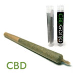 Ganja PRE-ROLL CBD CONES [PREMIUM] - 1G