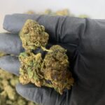 BUBBLE BERRY