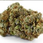 Lemon Blu Dream CBD