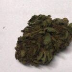 Tangeri Very Cherry Berry CBD