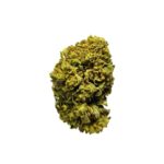Tangi OG KUSH
