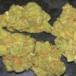 Tangi POWER AMNESIA