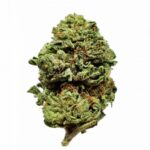 Tangi Blue Dream