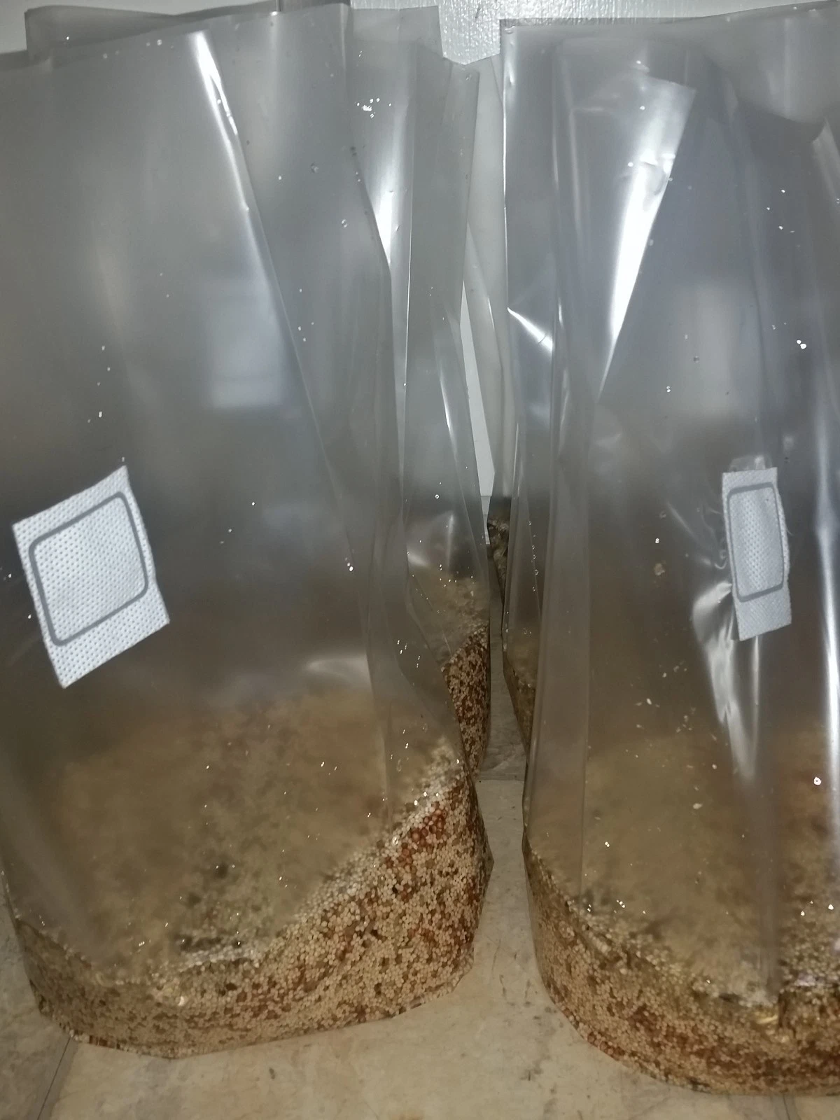 bag3