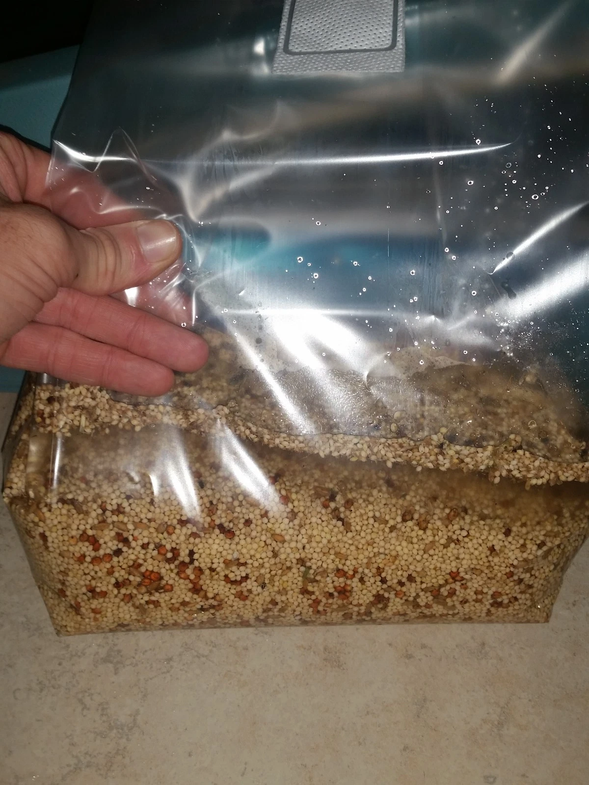 bag4