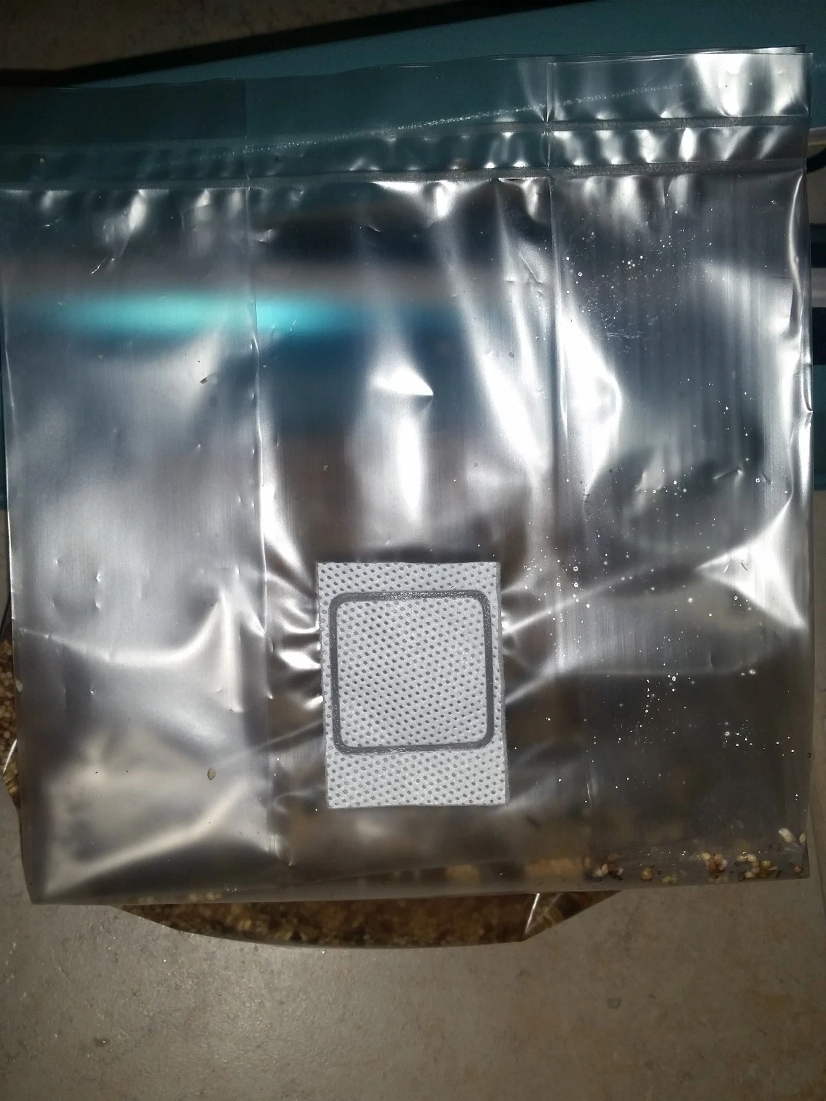 bag5