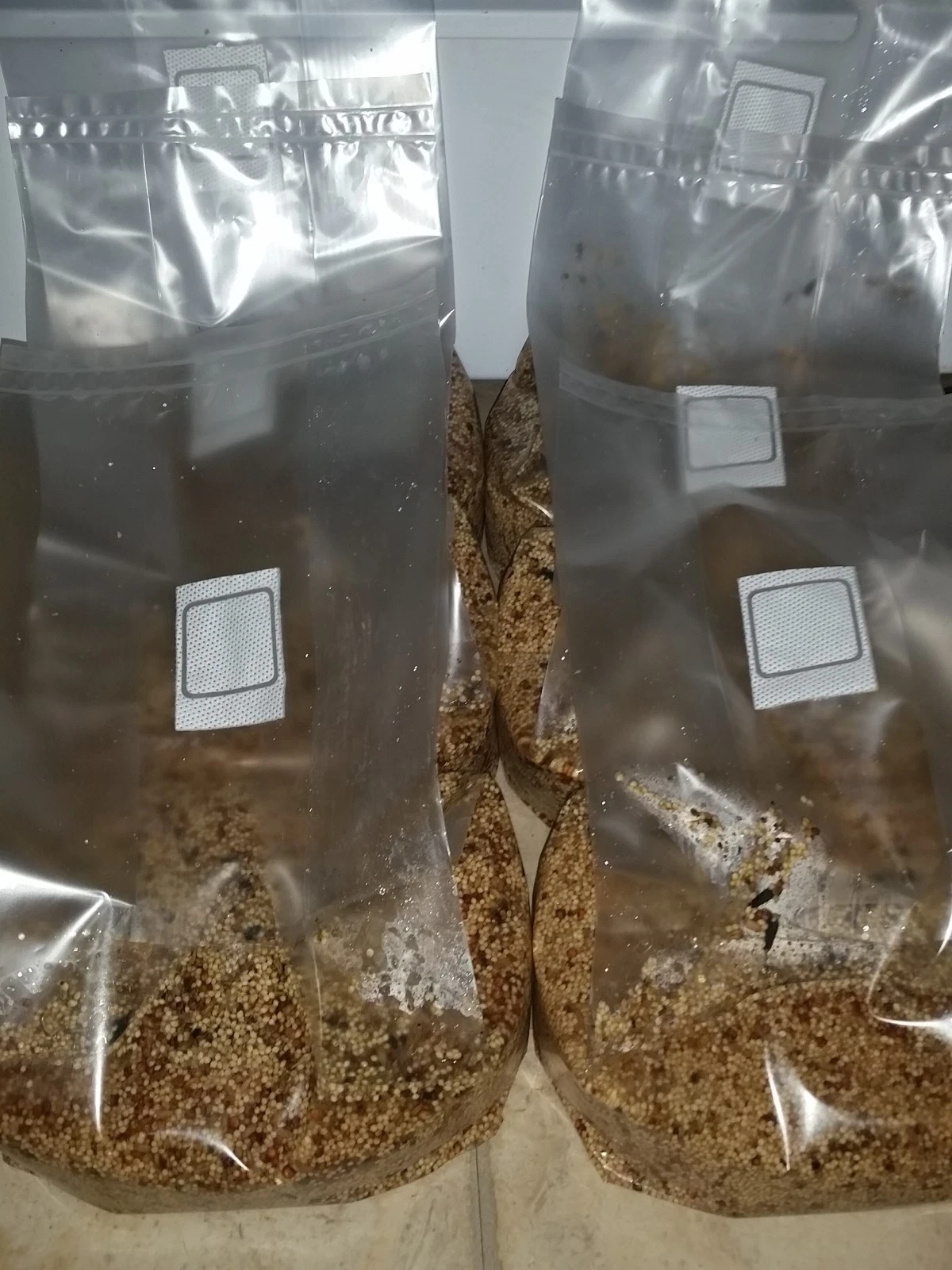 bag6