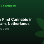 Where to Find Cannabis in Amsterdam, Netherlands
