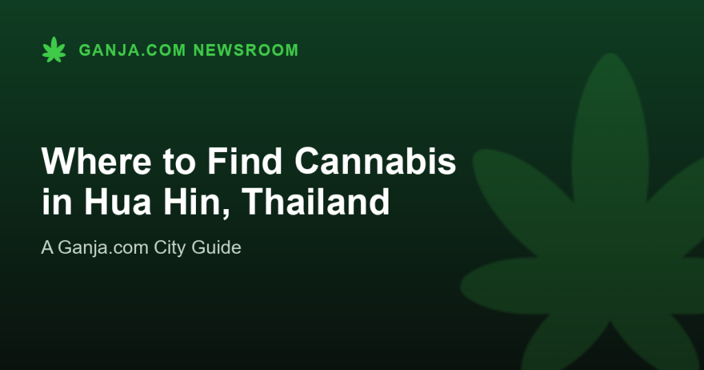 Where to Find Cannabis in Hua Hin, Thailand