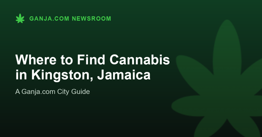 Where to Find Cannabis in Kingston, Jamaica