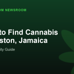 Where to Find Cannabis in Kingston, Jamaica
