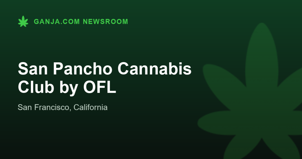 San Pancho Cannabis Club by OFL