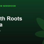 Smooth Roots Veneta