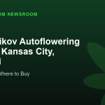Kalashnikov Autoflowering Deals in Kansas City, Missouri