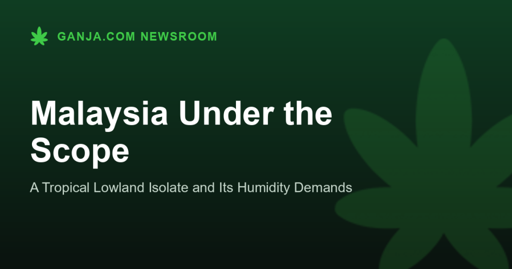 Malaysia Under the Scope