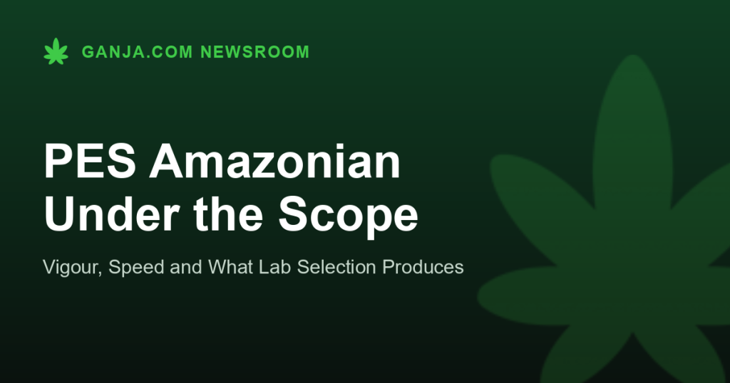 PES Amazonian Under the Scope