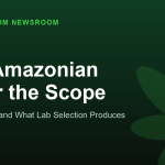 PES Amazonian Under the Scope