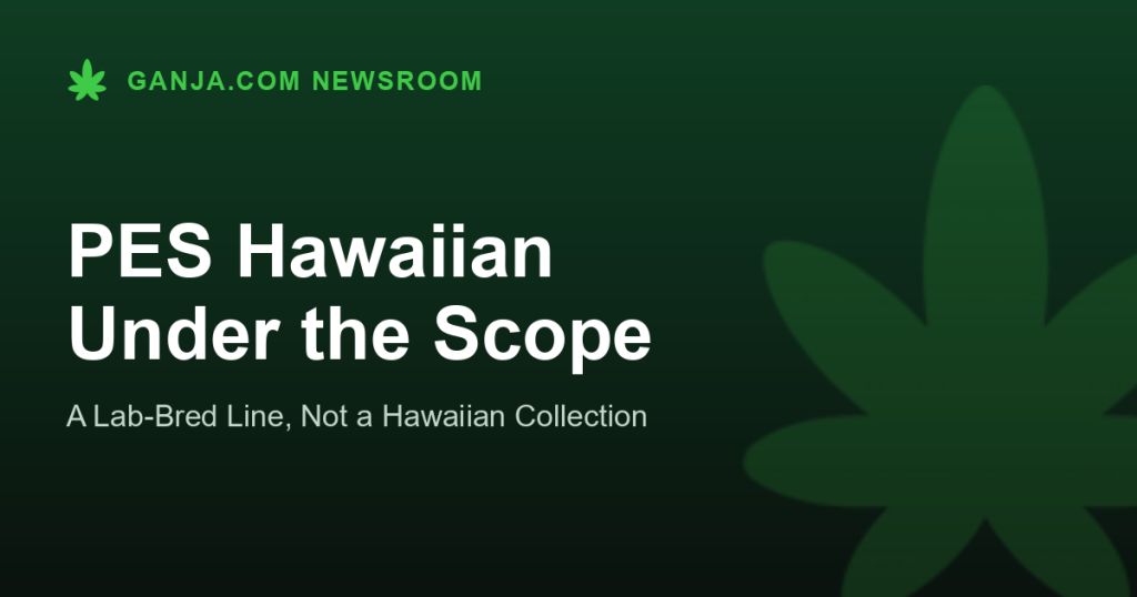 PES Hawaiian Under the Scope