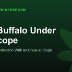 Pink Buffalo Under the Scope
