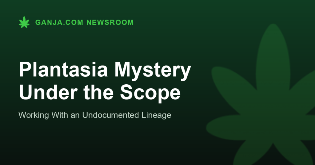 Plantasia Mystery Under the Scope