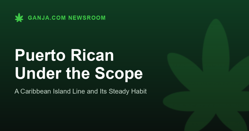 Puerto Rican Under the Scope