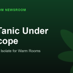 Thai-Tanic Under the Scope