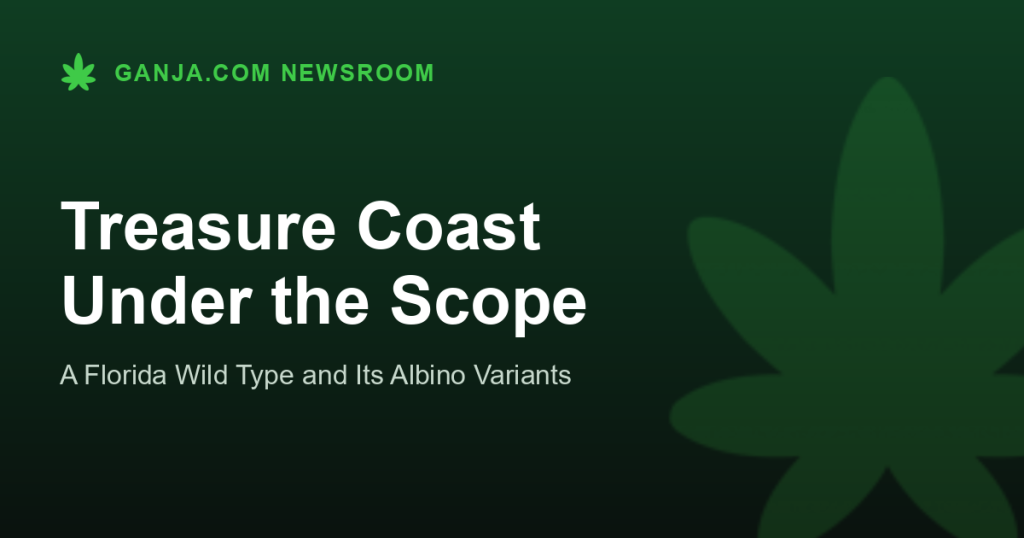 Treasure Coast Under the Scope
