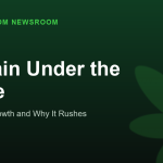 Z-Strain Under the Scope
