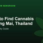 Where to Find Cannabis in Chiang Mai, Thailand