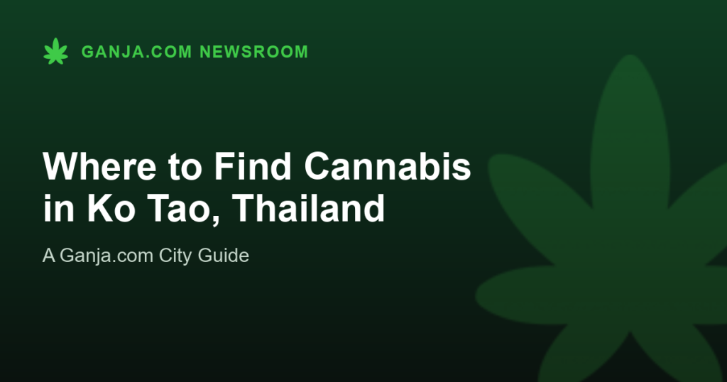 Where to Find Cannabis in Ko Tao, Thailand