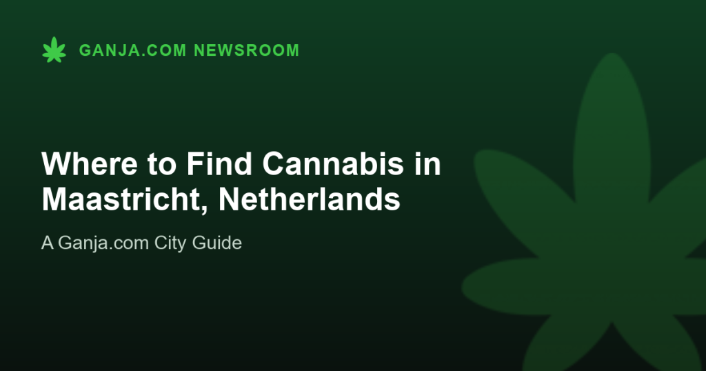 Where to Find Cannabis in Maastricht, Netherlands