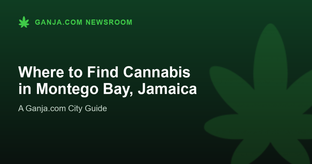 Where to Find Cannabis in Montego Bay, Jamaica