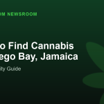 Where to Find Cannabis in Montego Bay, Jamaica