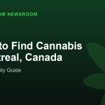 Where to Find Cannabis in Montreal, Canada