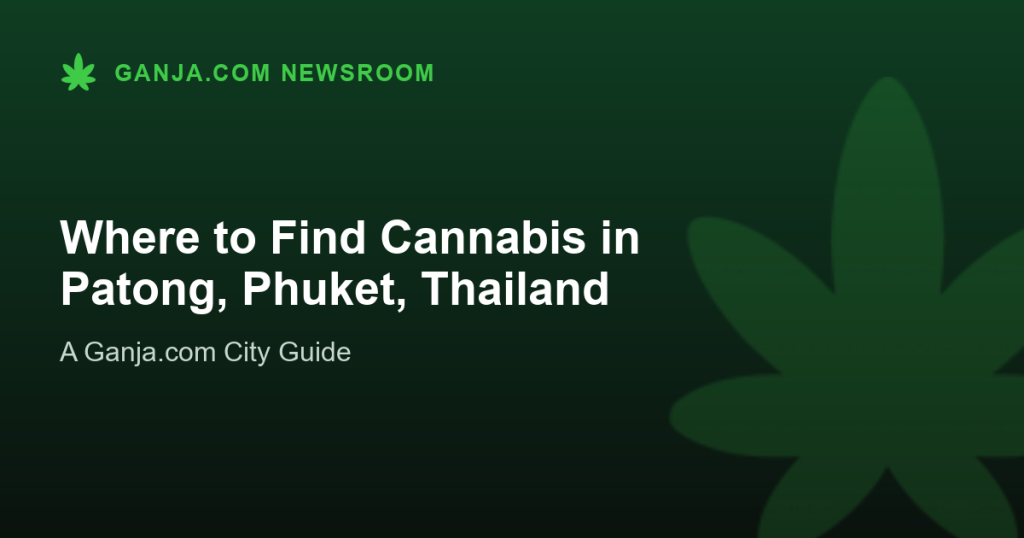 Where to Find Cannabis in Patong, Phuket, Thailand