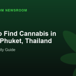 Where to Find Cannabis in Patong, Phuket, Thailand