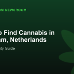 Where to Find Cannabis in Rotterdam, Netherlands
