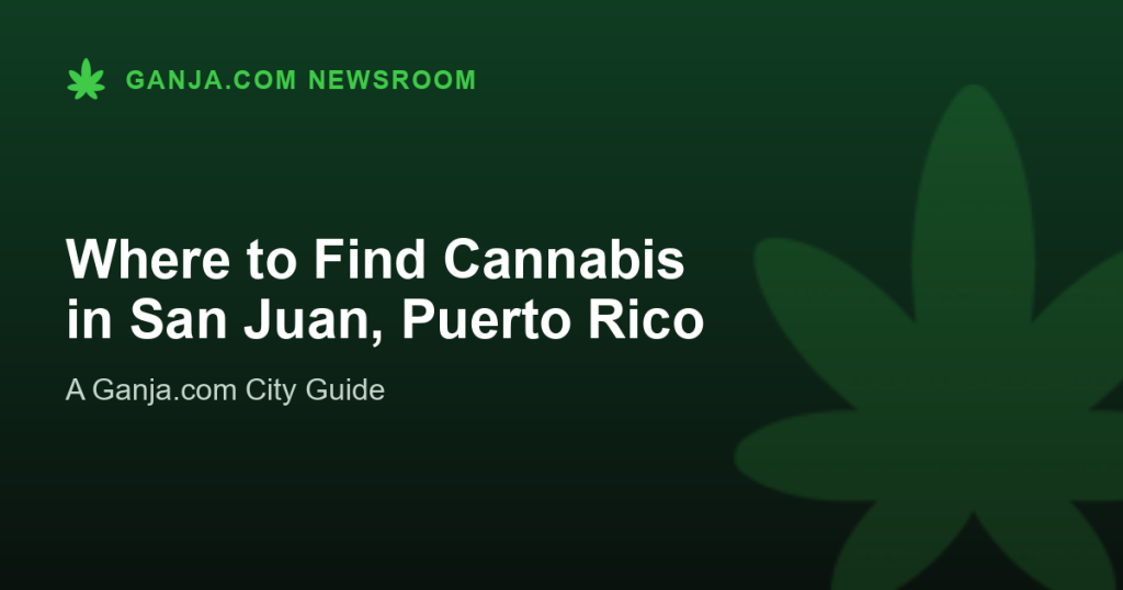Where to Find Cannabis in San Juan, Puerto Rico