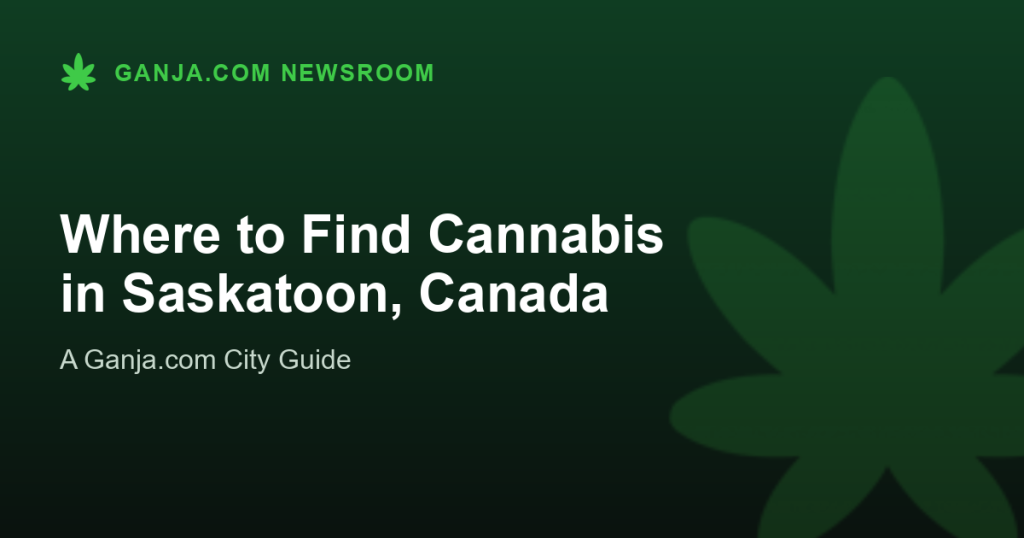 Where to Find Cannabis in Saskatoon, Canada