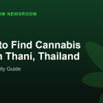 Where to Find Cannabis in Udon Thani, Thailand