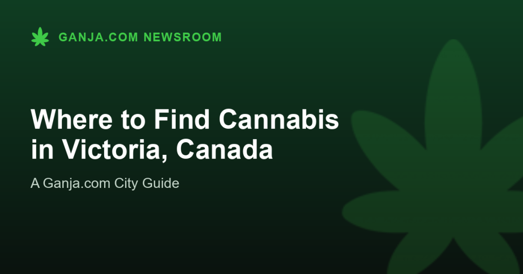 Where to Find Cannabis in Victoria, Canada