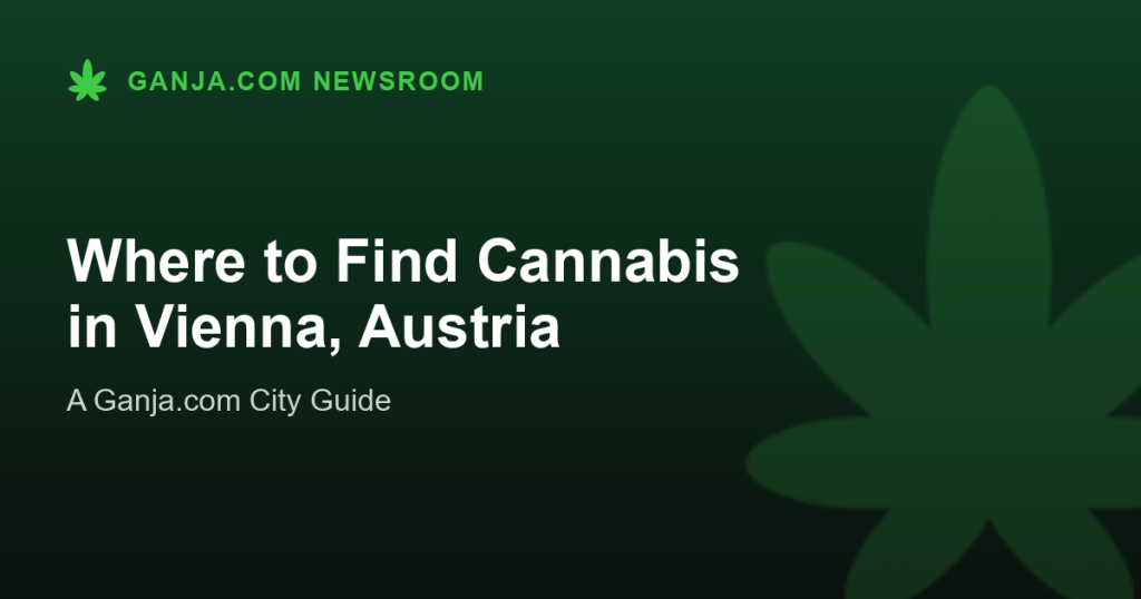 Where to Find Cannabis in Vienna, Austria