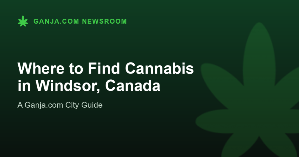 Where to Find Cannabis in Windsor, Canada