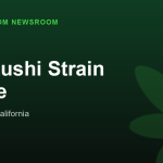 Buy Zushi Strain Online