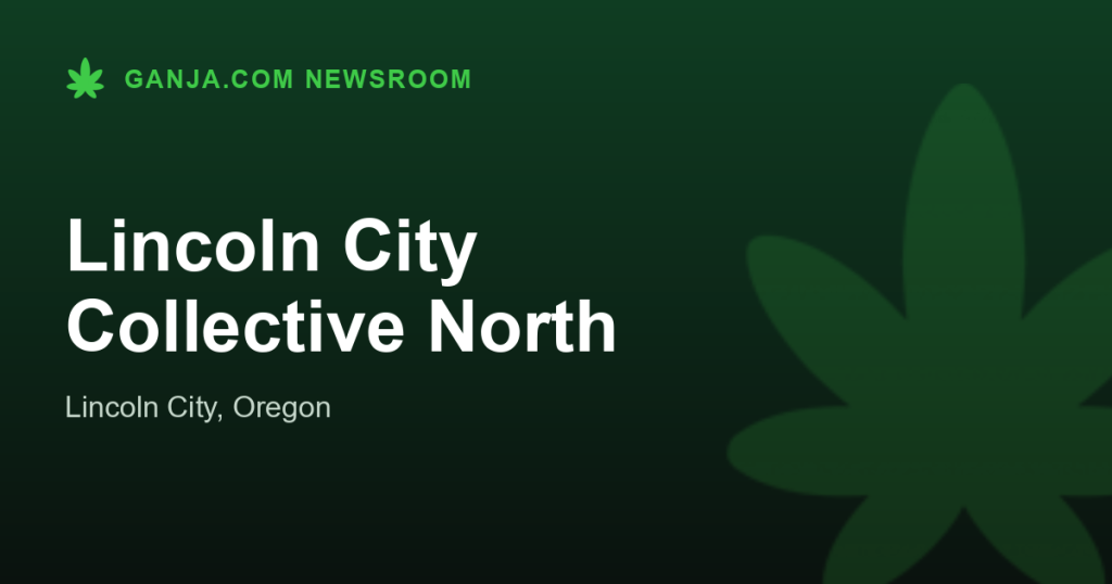 Lincoln City Collective North