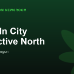 Lincoln City Collective North