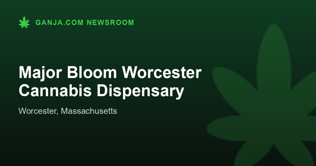 Major Bloom Worcester Cannabis Dispensary