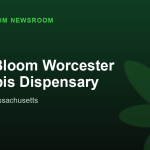 Major Bloom Worcester Cannabis Dispensary